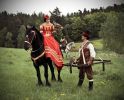 http://www.zamekpohled.cz/photos/historicke/thumb_sokol7.jpg