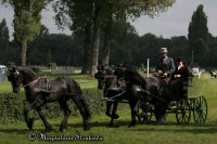 /album/zapreze/pardubice-06-0610-jpg/