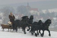 /album/zapreze/prosinec-jpg1/