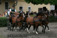 /album/zapreze/tlumacov2-7-1008-jpg/